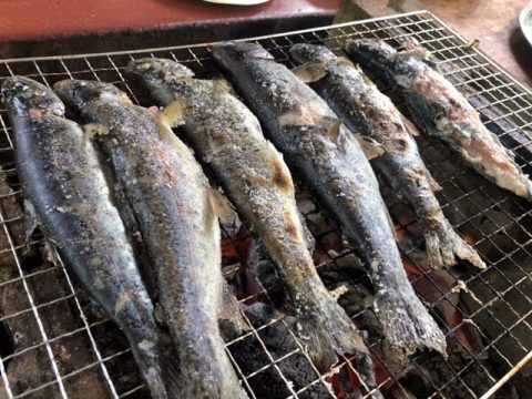 奈良子釣りセンター　魚　塩焼き
